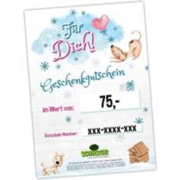 Weihnachts-Geschenk-Gutschein