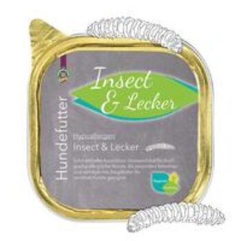 Hypoallergen Insect & Lecker Schälchen