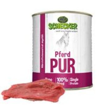 Pferd PUR