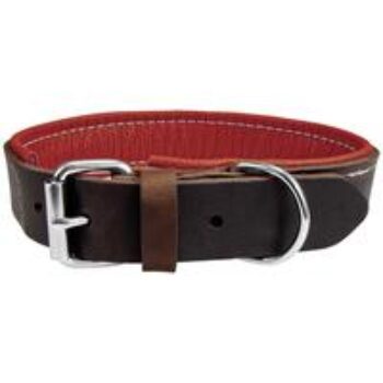 Schecker Hunde-Halsband "Moorfeuer"