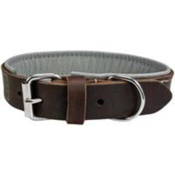 Schecker Hunde-Halsband "Moorfeuer"