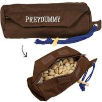 Preydummy