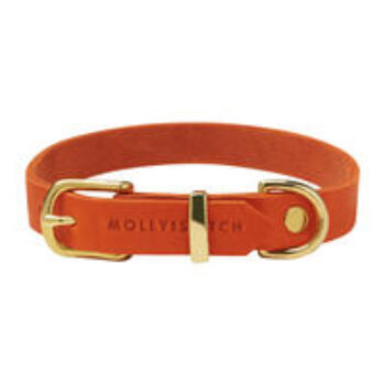 Molly & Stitch Butter Leder Hundehalsband