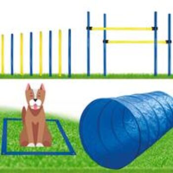 Procyon Dog Agility Set - groß -