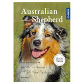 Australian Shepherd: Auswahl