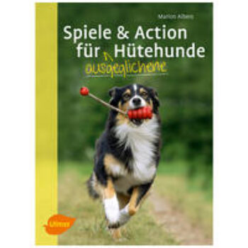 Spiele und Action für ausgeglichene Hütehunde: Border Collie