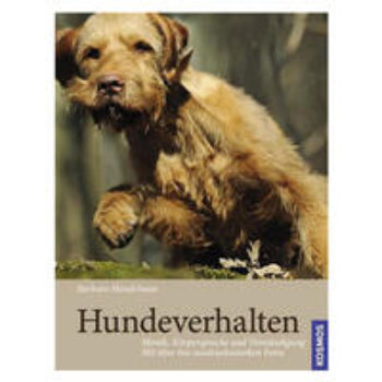 Hundeverhalten: Mimik